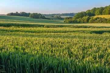 Scenic field, Vexin Region, Normandy, France