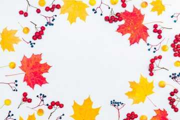 Flat lay frame with colorful autumn leaves and berries on a white background