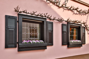 Germany, window boxes