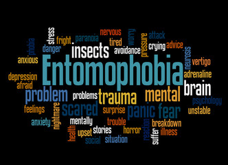 Entomophobia fear of insects word cloud concept 3