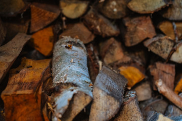 firewood stacked in a woodpile, blurry background, texture