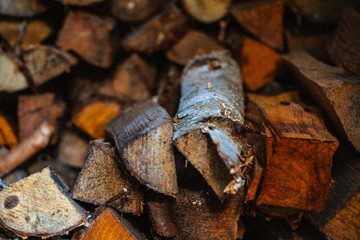 firewood stacked in a woodpile, blurry background, texture