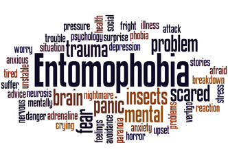 Entomophobia fear of insects word cloud concept