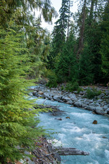 Obraz premium Pine Mountain River