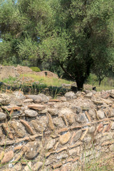 Wall construction, Ancient Greek ruins, Olympia, Greece, Europe