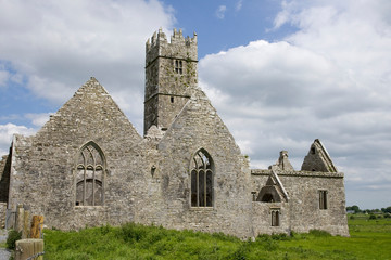 Fototapeta na wymiar Ireland, Galway. View of the medieval monastery Ross Errilly Friary.