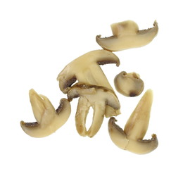 Fototapeta premium canned mushroom pieces on a white background. 