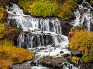 Waterfall Hraunfossar with colorful foliage during fall.