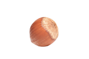 Hazelnut. Fresh organic filbert isolated on white background. Nut macro.