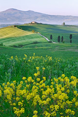 Italy, Tuscany. Landscape with villa. Credit as: Dennis Flaherty / Jaynes Gallery / DanitaDelimont. com