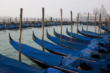 Italy, Venice. Moored gondolas with Santa Maria della Salute in background.