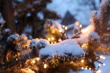 Schnee im Winter mit Lichterkette und Weihnachtsbaum