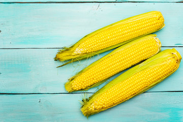 Fresh raw corn on cobs
