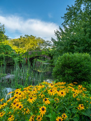 Obraz premium Gapstow Bridge in Central Park