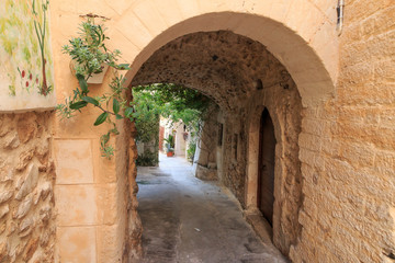 Fototapeta na wymiar Italy, Foggia, Apulia, Gargano National Park, Vieste. Old city, pedestrian arched pathways, painted, grape-vine decorated streets.