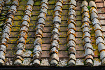 Italy, Monteriggioni. Terra Cotta tiled roof.