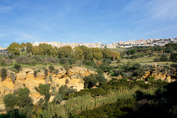 Obraz premium Italy, Sicily, city of Agrigento. New city and orchards.