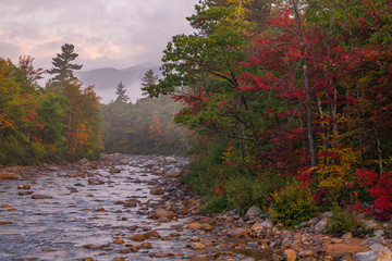 Autumn on the swift river