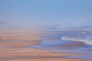 Sea Fog at the Beach