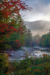 Obraz premium Autumn on the swift river