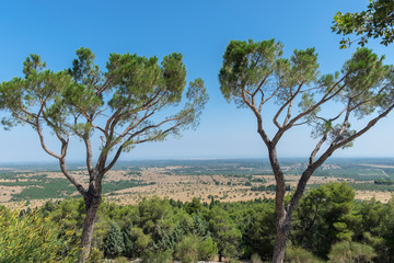 Fototapeta na wymiar View of Andria landscape, Italy, Europe