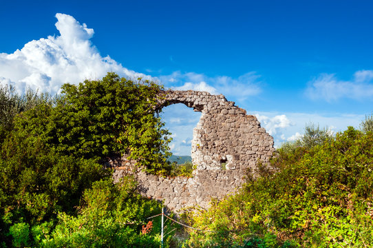 Ruins of Roman Comitium, Roman town of Cosa, Ansedonia, Grosseto province, Tuscany, Italy