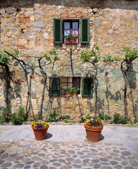 Fototapeta na wymiar Italy, Monteriggioni. A stone house is brightened by potted plants and window boxes in Monteriggioni, Tuscany, Italy.
