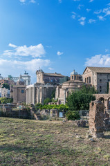 Fototapeta premium Italy, Rome, The Forum