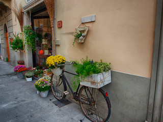 Obraz na płótnie Canvas Italy, Impruneta, Toscane street in Impruneta with Bicycle and Flowers at store