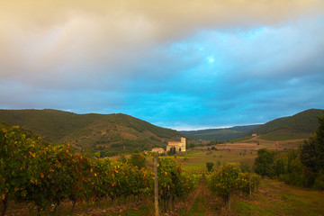 Sant'Antimo Abbey and the Vineyards leading to the Abbey.