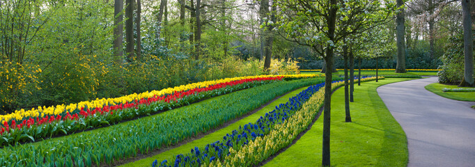 Flowerbeds along path, Keukenhof Gardens, Lisse, Holland