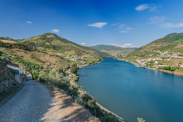 Obraz na płótnie Canvas Portugal, Douro Valley, View of Vineyards and Douro River