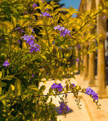  beautiful old church in parilimini cyprus