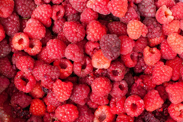 Fresh and sweet raspberries background