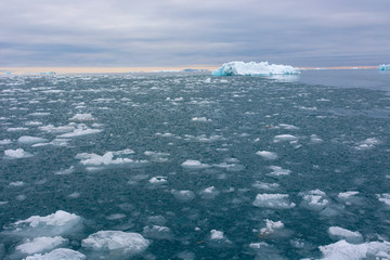 Norway. Svalbard. Nordaustlandet Island. Brasvelbreen. Brash ice in the calm water.