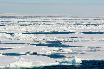 Norway. Svalbard. Hinlopen Strait. Drift ice extending to the horizon.