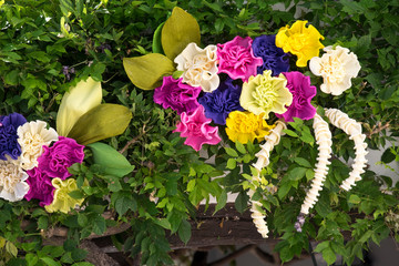 Portugal, Tomar, Santarem District. Festa dos Tabuleiros (Trays Festival), held every four years. The old city neighborhoods are colorfully decorated with paper flowers and garlands.