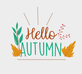 foliage leaves hello autumn season