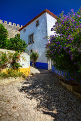 Fototapeta na wymiar Portugal, Obidos, Colorful building
