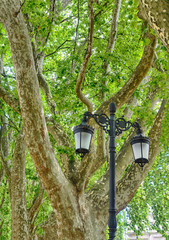 Lamps from the walk along the river