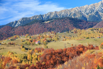 Romania, Transylvania, Carpathian Mountains, Magura, Piatra Craiului National Park. Fall Colors.