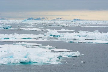 Norway. Svalbard. Nordaustlandet Island. Brasvelbreen. Brash ice.