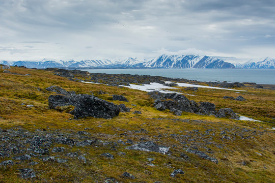 Norway. Svalbard. Bellsund. Varsolbukta. Camp Millar. Rocky ground and the sound beyond.