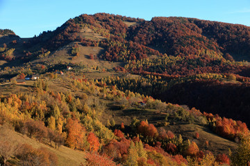 Romania, Transylvania, Carpathian Mountains, Magura, Piatra Craiului National Park.