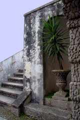 Portugal, Sintra. Alcove with plant at the Pena National Palace, a UNESCO World Heritage Site.