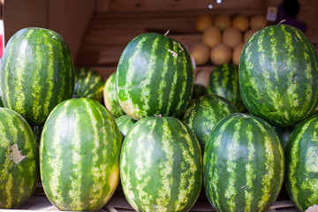 Watermelons in the market. Big juicy berry. Watermelon is green and striped. A lot of watermelons at a trading shop. Georgian watermelon.