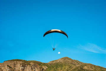 paraglider 