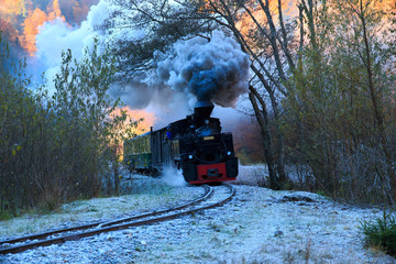 Romania, Viseu de Sus. Carpathian Forest Steam train. Vaser Valley Railway. Wood-burning, steam locomotive. Narrow-gauge railway. Initiated 1932. - obrazy, fototapety, plakaty