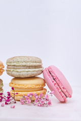 Few colored macarons on a white background