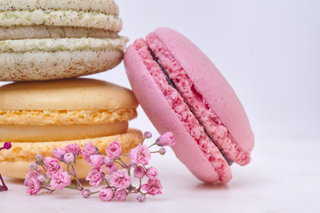 Few colored macarons on a white background